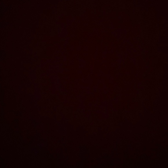 Meet your Posher, Peyton - Picture 1 of 1